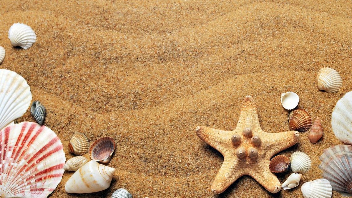 Laten we maar alvast weer voorbereiden op de zomer